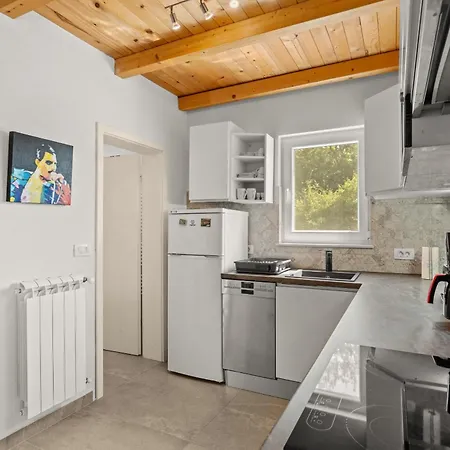 Jacky 2 Near Porec For 4 Persons With 32 M2 Private Pool - Pet Friendly Willa Nova Vas (Porec)